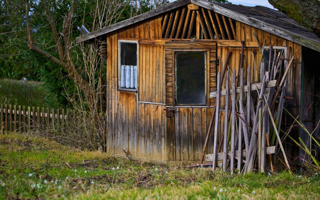 Pourquoi et quand installer un abri de jardin chez vous ?